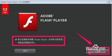 网页视频播放器插件,探索网页视频播放器插件的无限可能
