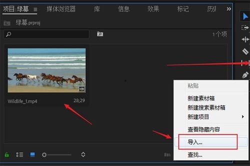 视频放照片,照片故事再现