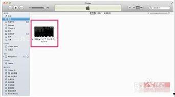 iphone如何导入视频,轻松将视频导入电脑